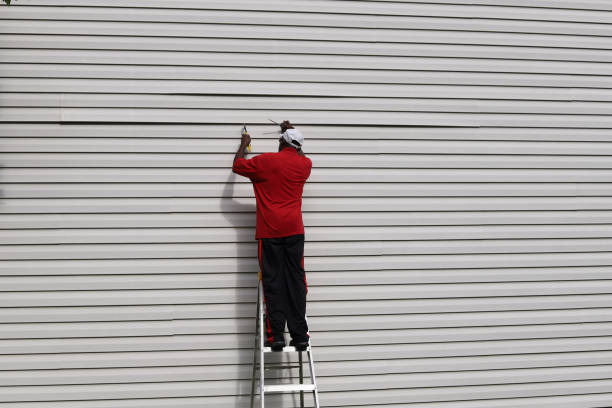Best Insulated Siding Installation  in Lebanon Junction, KY